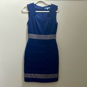 Antonio Melani Women’s Blue Sleeveless Dress Size 4